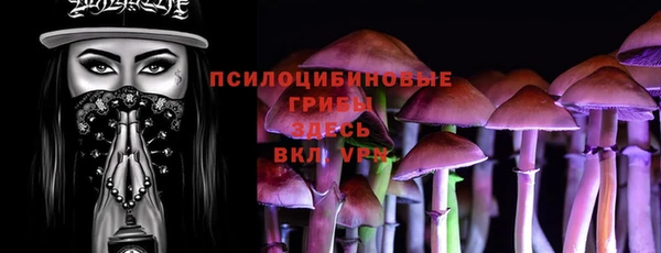 амф Арсеньев