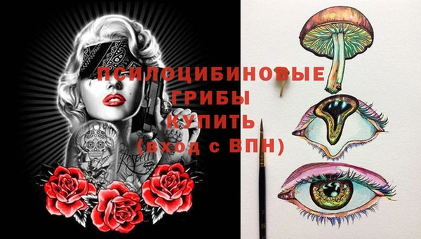 амф Арсеньев