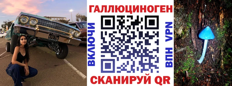дарнет шоп  Починок  кракен ССЫЛКА  Псилоцибиновые грибы прущие грибы 