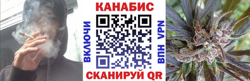 Канабис сатива Починок